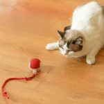 Interactive Smart Rolling Cat Ball – Fast Moving Toy with Tail Accessory for Indoor Play