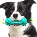 Squeaky TPR Bone Dog Toy – Durable Chew & Interactive Sound Toy for Dogs