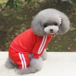 Lettered winter jumpsuit for small dogs and cats in multiple colors