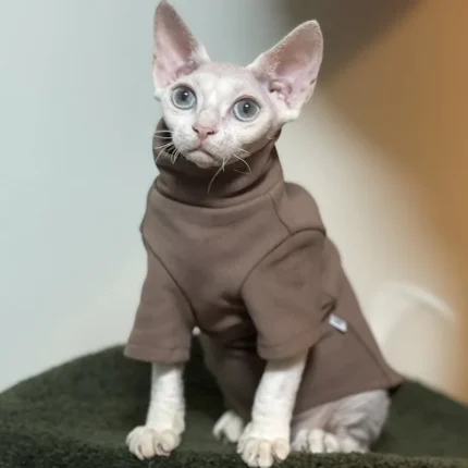 Solid-color cotton hoodie for cats, kittens, and small dogs