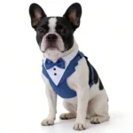 Pet tuxedo-style suit with bowtie available in blue, black, and gray