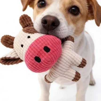 Plush squeaky dog toy available in pig, elephant, rabbit, and cow designs