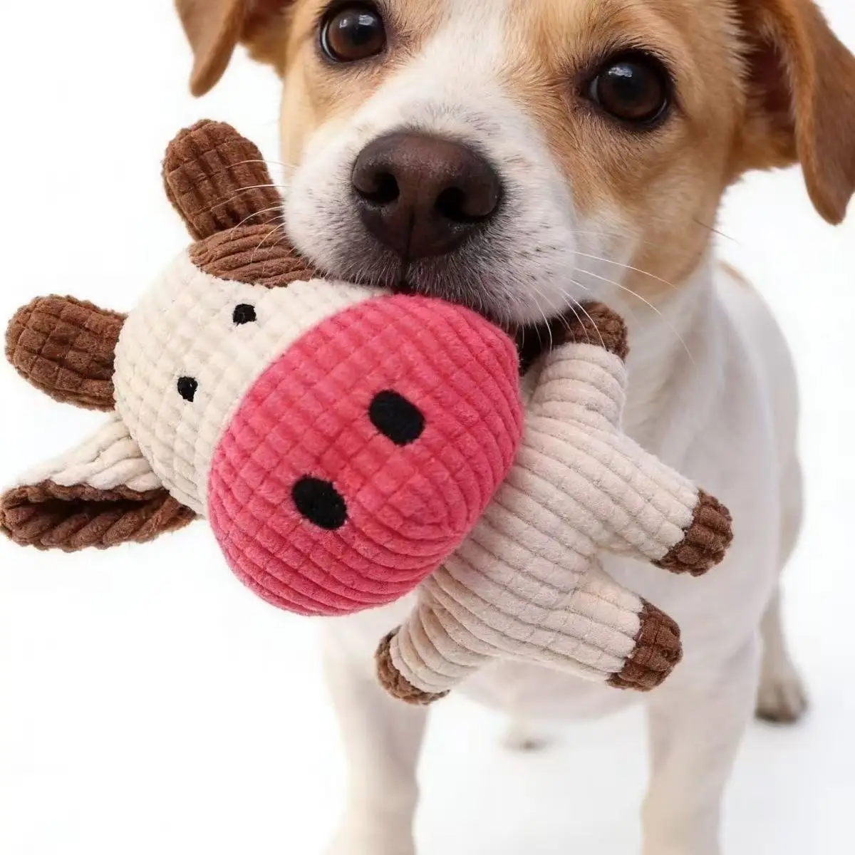 S302a0e4955fa4af3b682fae39f16d6cd0.webp Plush squeaky dog toy available in pig, elephant, rabbit, and cow designs
