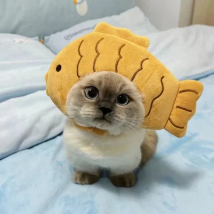 Takoyaki-inspired cotton head cover for a small cat