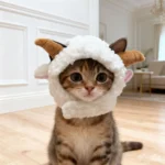 Playful character-inspired cloth head cover for a small cat