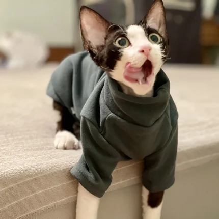Solid-color cotton hoodie for cats, kittens, and small dogs