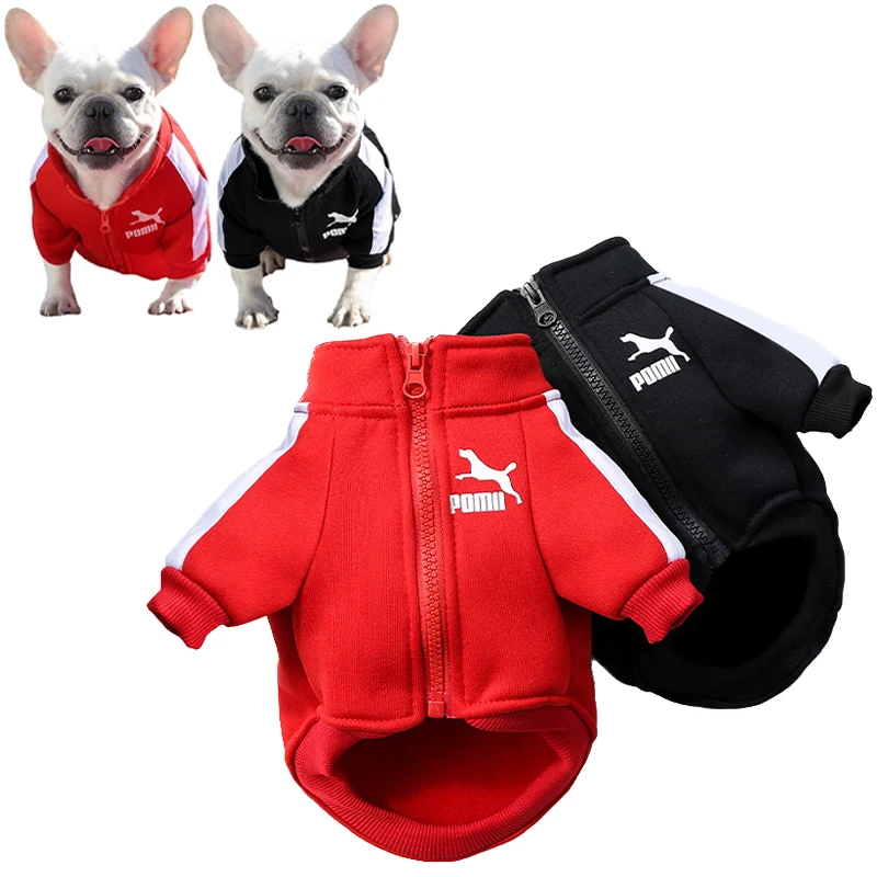 Dog wearing a solid-color polyester pullover baseball-style jacket