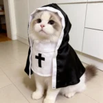 Black-and-white nun-inspired costume with hood, white trim, bib, and cross decoration for cats and small dogs
