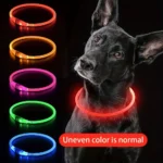 USB rechargeable LED light-up dog collar with optical-fiber illumination in multiple colors
