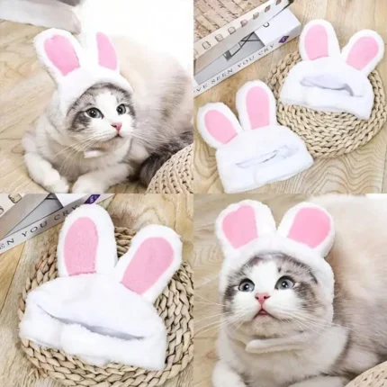 Cloth pet costume hats in lion-inspired and rabbit-ear styles for cats and small dogs