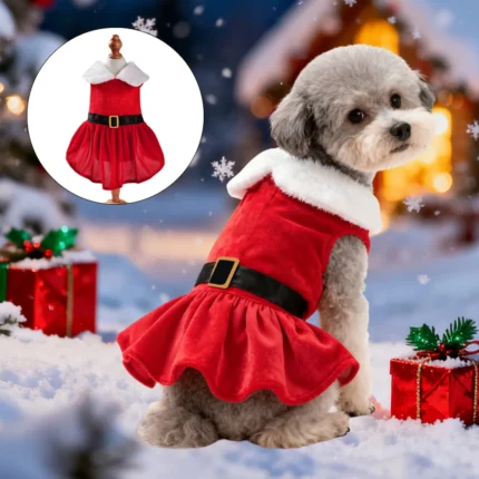Red Santa Claus costume for a small or medium dog or cat