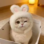 Playful character-inspired cloth head cover for a small cat