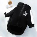 Dog wearing a solid-color polyester pullover baseball-style jacket