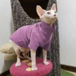 Solid-color cotton hoodie for cats, kittens, and small dogs