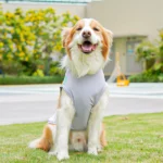 Lightweight mesh-style polyester dog vest in a seasonal color